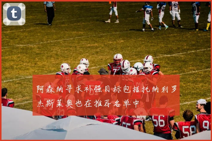 阿森纳寻求补强目标包括托纳利罗杰斯莱奥也在推荐名单中