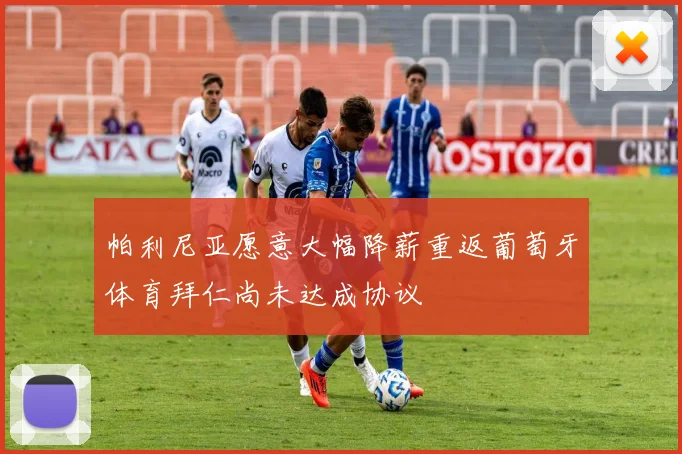 帕利尼亚愿意大幅降薪重返葡萄牙体育拜仁尚未达成协议